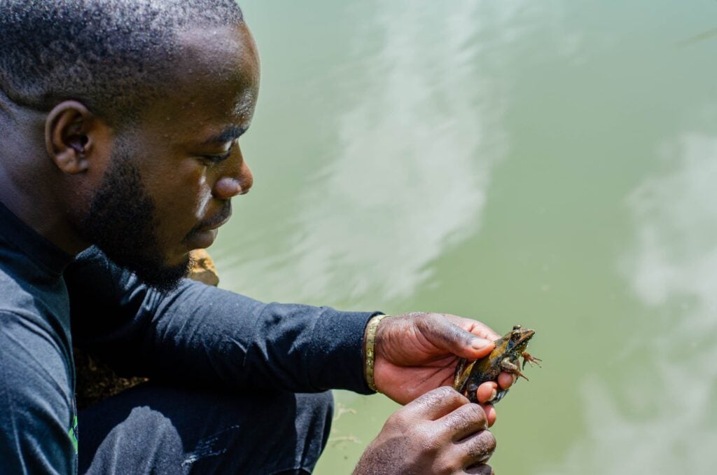 Congo DRC Save The Frogs Day 2025 Africa
