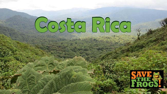 Costa Rica Ecotour