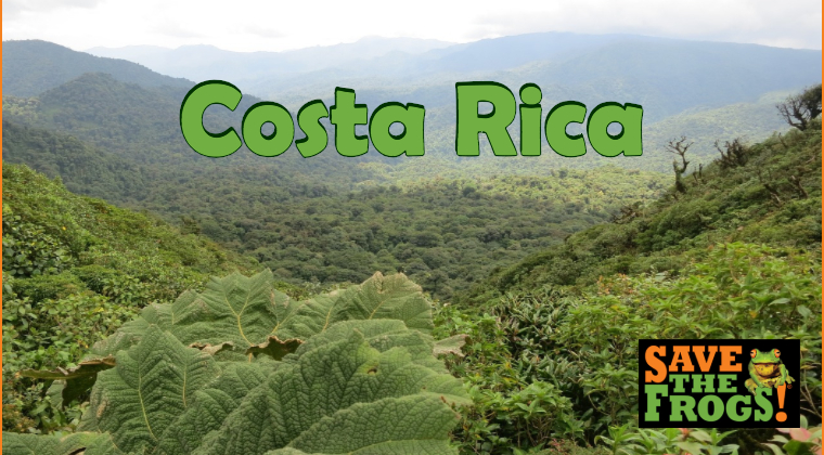 Costa Rica amphibians course
