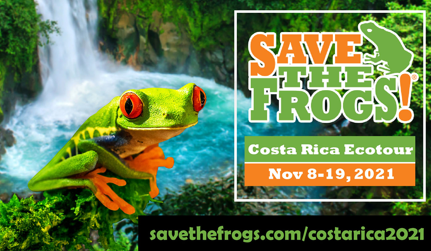 Costa Rica Classic Ecotour Save The Frogs 2021