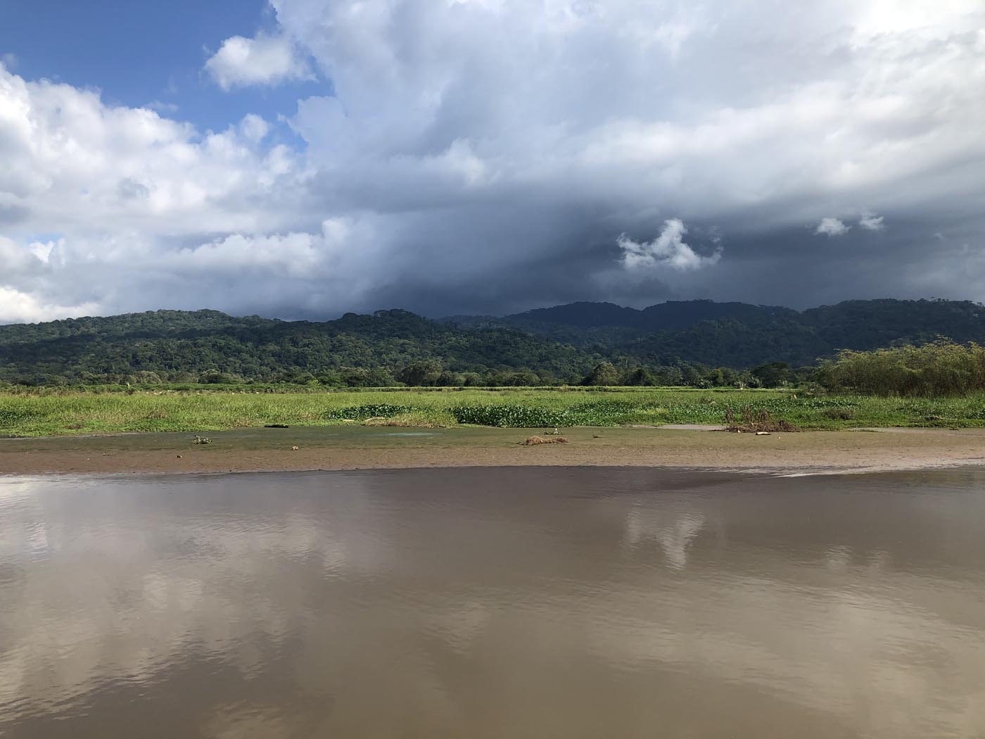 Costa Rica Tarcoles River Crocodile Tour 2021 80
