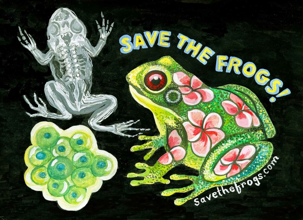Daksh Bafna USA 2023 save the frogs art contest 1