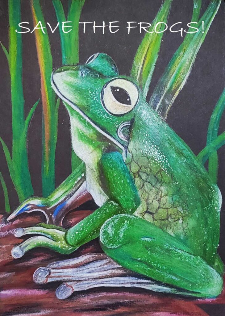 Deepshikha De India 2023 save the frogs art contest 1 1
