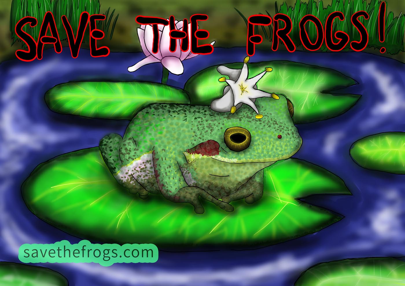 Диана-Новокрешина-Россия-2021-save-the-frogs-art-contest 5 место Победитель