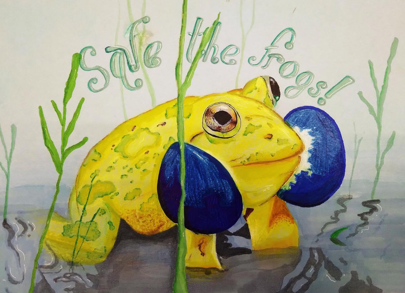 Diana-Yupasheva-Russia-2021-save-the-frogs-art-contest-2