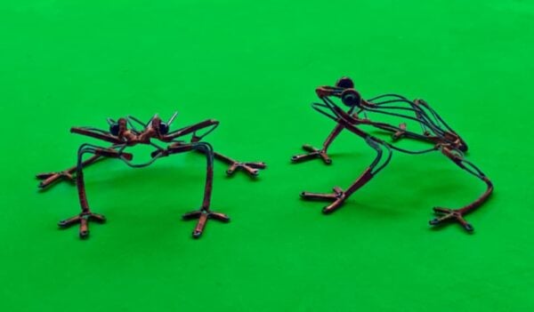 Frog Wire Art From Zambia - Image 4