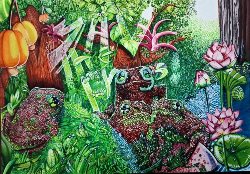 Diogo Miguel Carvalho de Moraes 巴西 2025 年拯救青蛙艺术大赛决赛入围