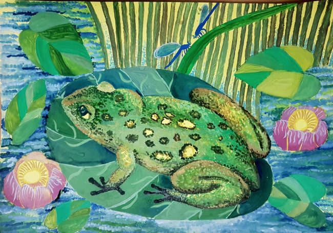 Dmitry Shachnev Rusia 2021 concurso de arte save the frogs