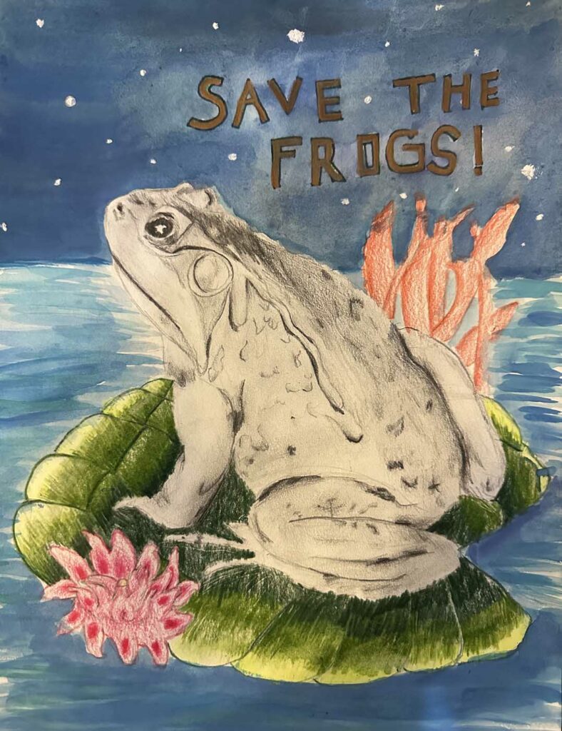Dylan Zhang USA 2023 save the frogs art contest 1