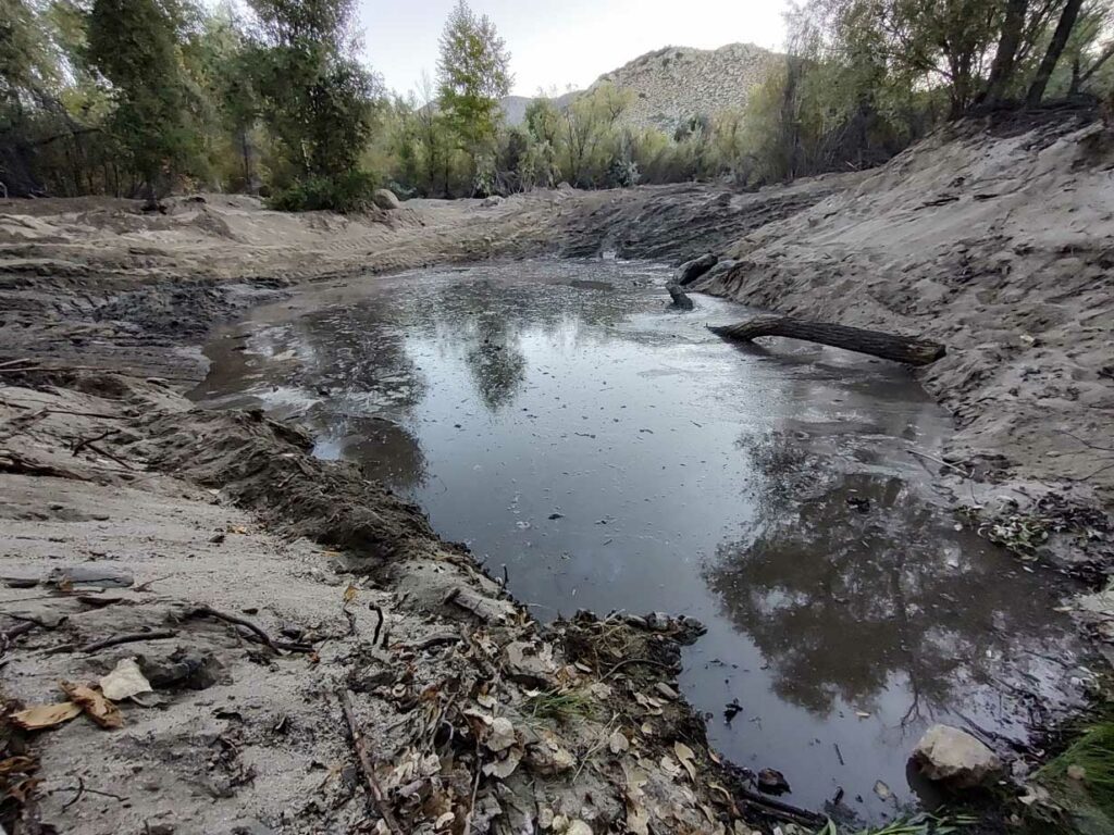 พื้นที่ชุ่มน้ำ El Potrero Ranch - ตุลาคม 2023