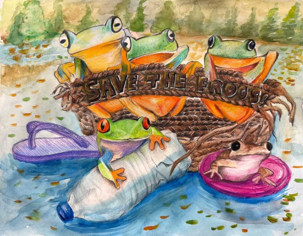 Eleanor-Yu-USA-2025-拯救青蛙艺术大赛决赛入围者(含额外荣誉)