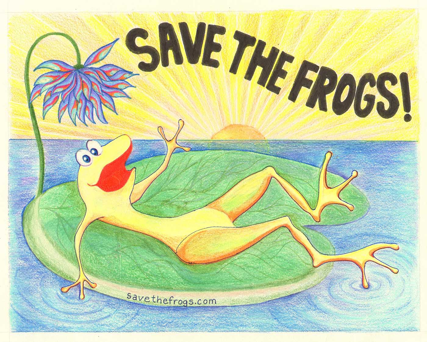 Elizabeth-Barreto-Age53-2011-Save-The-Frogs-Art-Contest