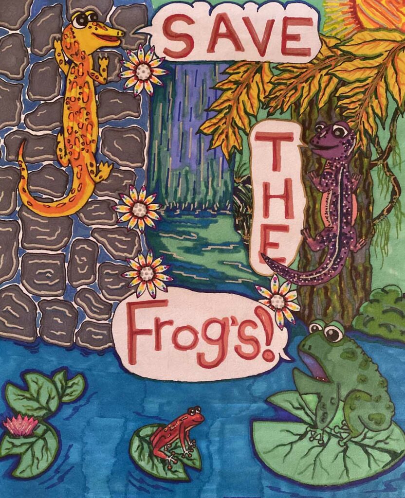 Elizabeth Swinburne USA 2023 save the frogs art contest 1