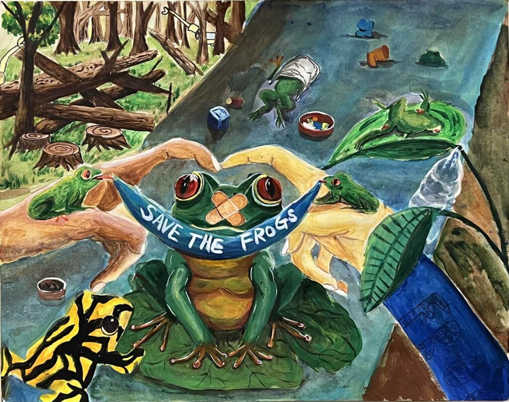 Emma Qiu USA 2023 save the frogs art contest 1