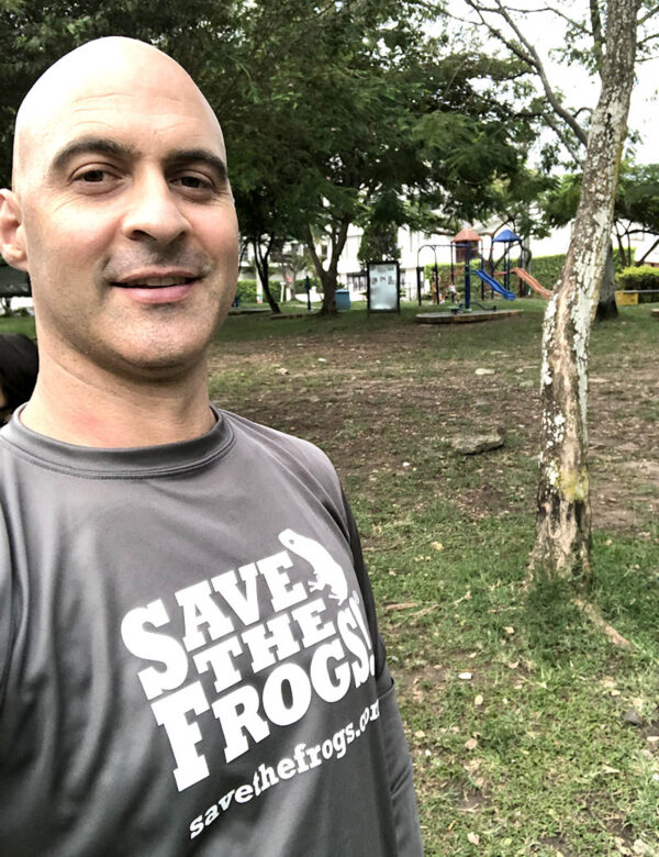Camisa Save The Frogs de Environmental Revolution Kerry Kriger Grey Athletic Manga larga 800 1