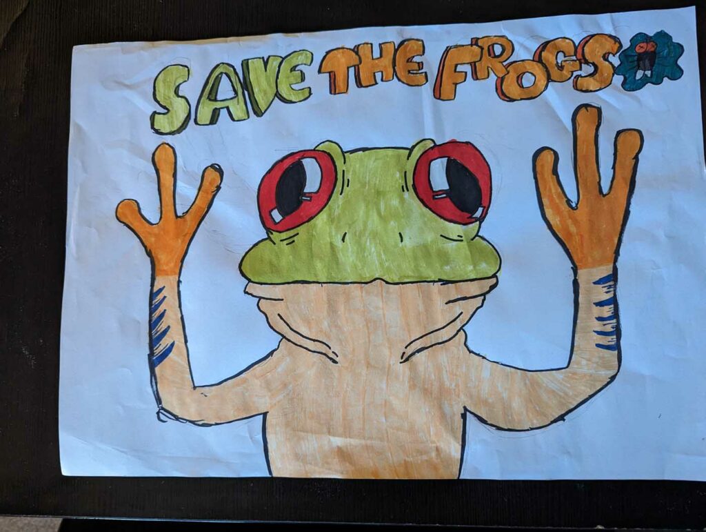 Esther Akinwonmi Pedro 2023 save the frogs art contest 1