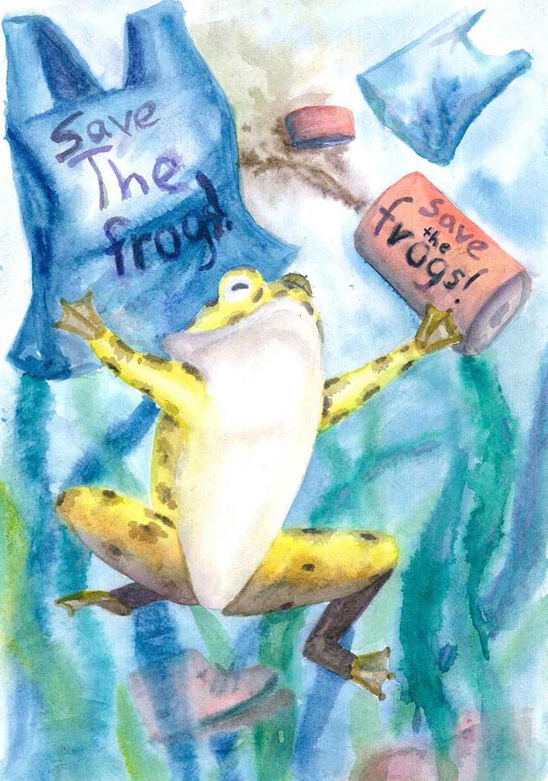 Fan Fei China 2024 Save The Frogs Art Contest participant