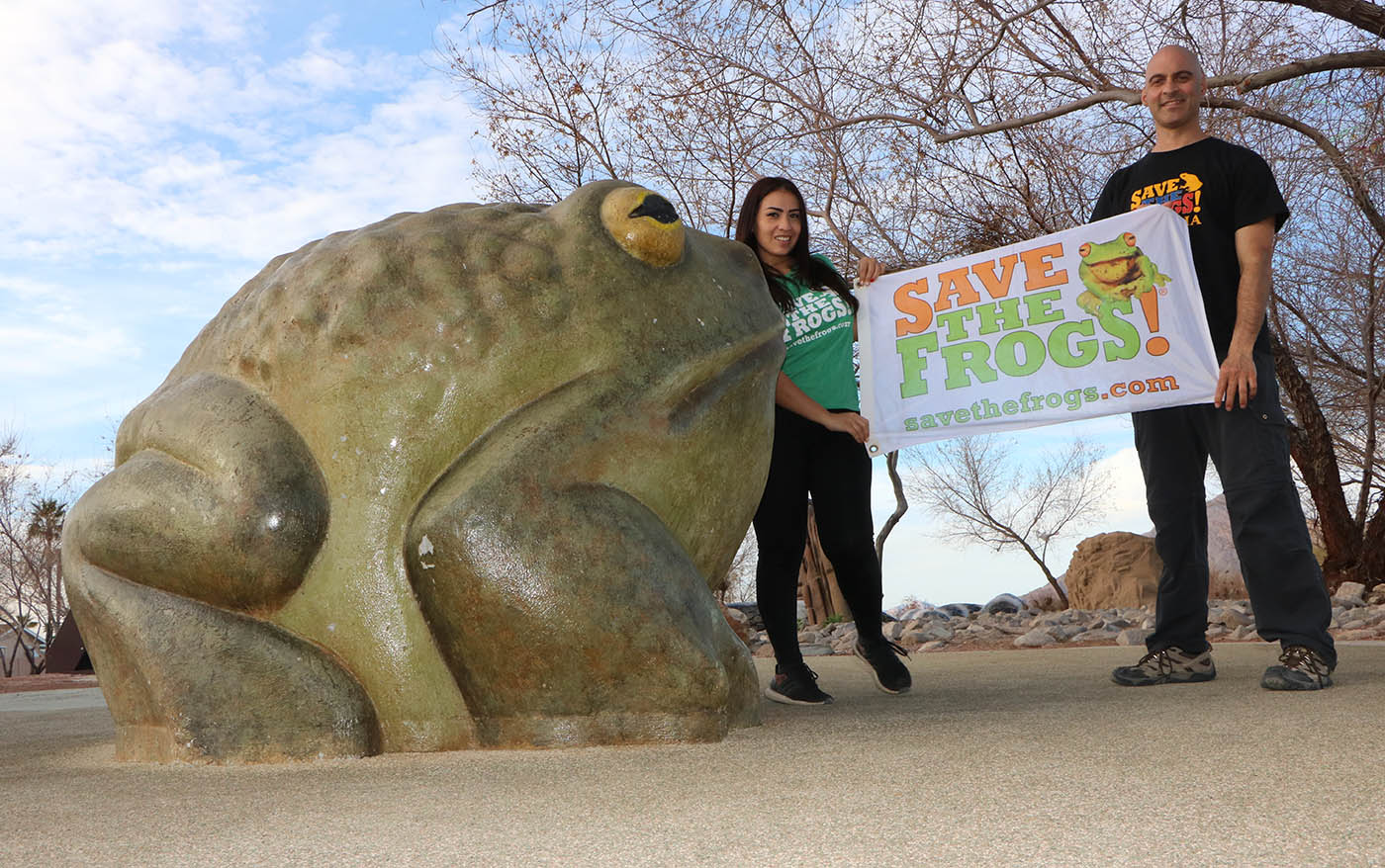 Flag - Save The Frogs - Kerry Kriger Clark County Wetlands Park NV 2021-03-17