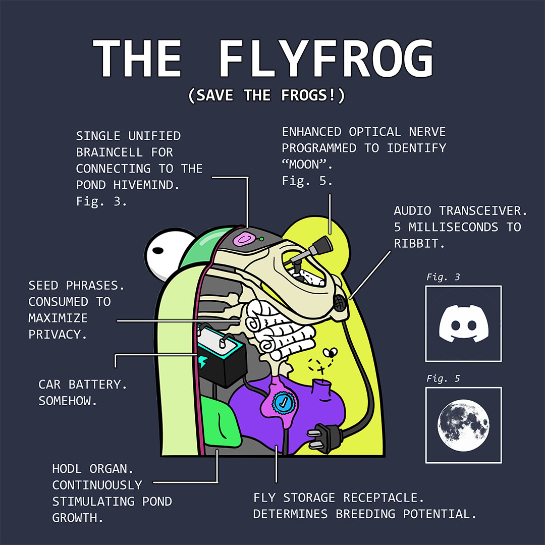Fly Frogs Shirt Design Contest Redacted Frog