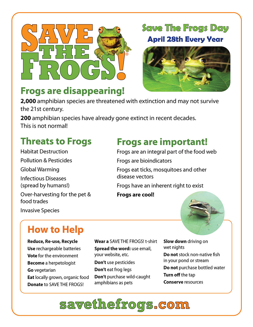 How To Help Save The Frogs Flyer