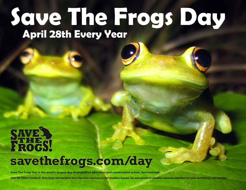 Folheto - Save The Frogs Day - 28 de abril de cada ano
