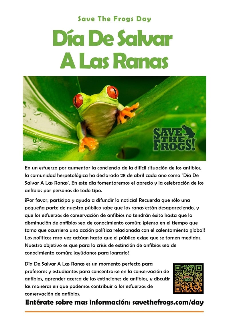 Flyer Save The Frogs Day Español Spanish