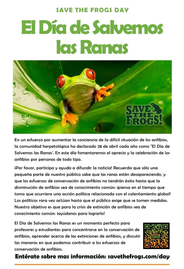 Flyer Save The Frogs Day Español Spanish