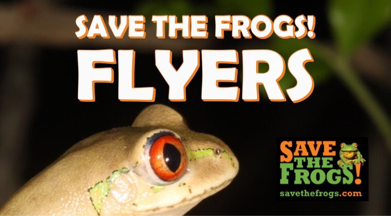 SAVE THE FROGS! Flyers