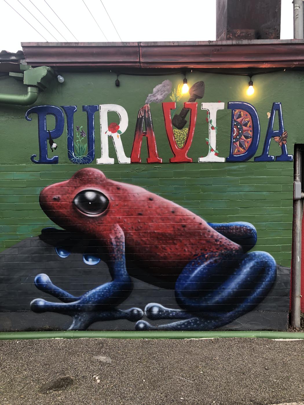 Fortuna town frog art Costa Rica 3