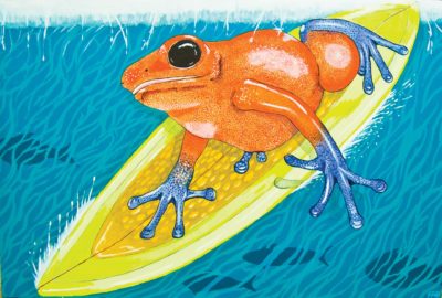 Frank Beifus Surfing Frog