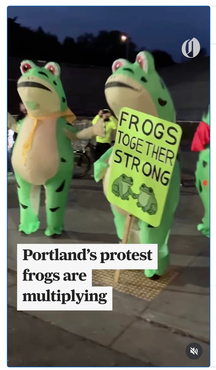 Frogs For Peace Screenshot 1