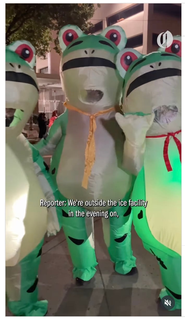 Frogs For Peace Screenshot 2