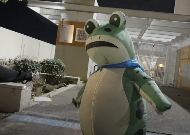 Frogs For Peace Screenshot 4