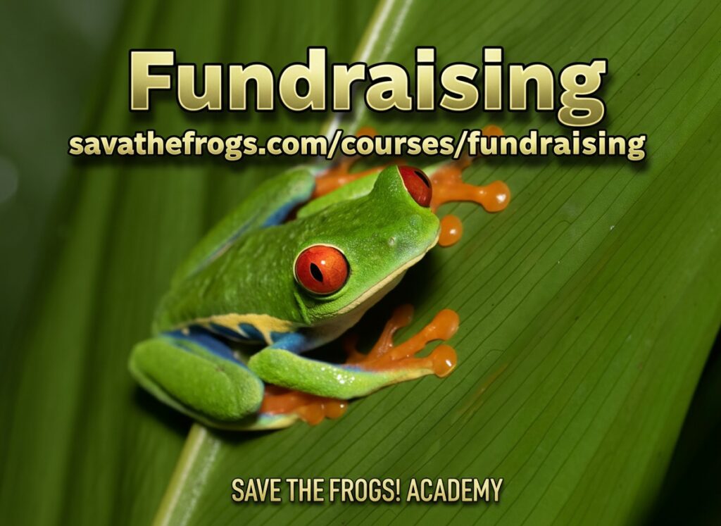 Symbol für einen Spendenkurs