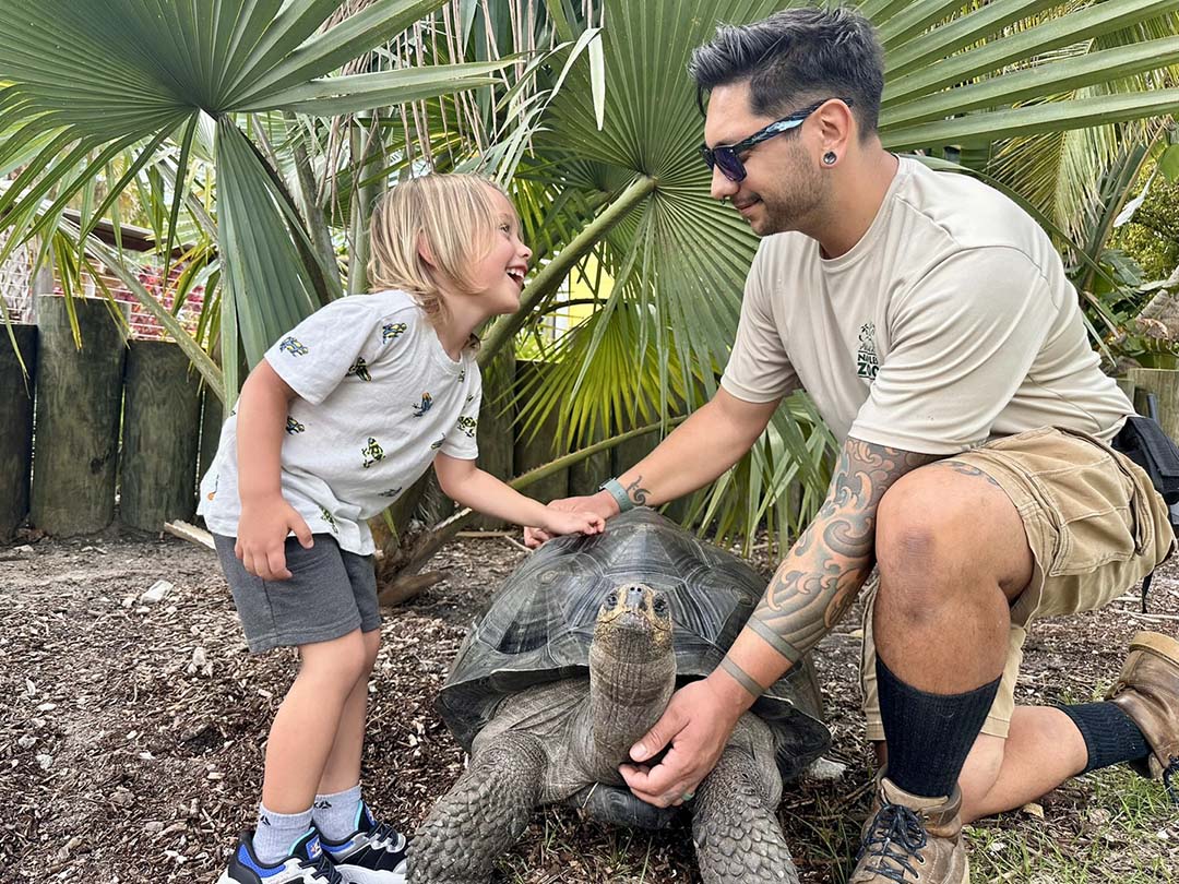 Gage Denney - Costa Rica Volunteering - Naples Zoo - Galapagos Tortoise lo