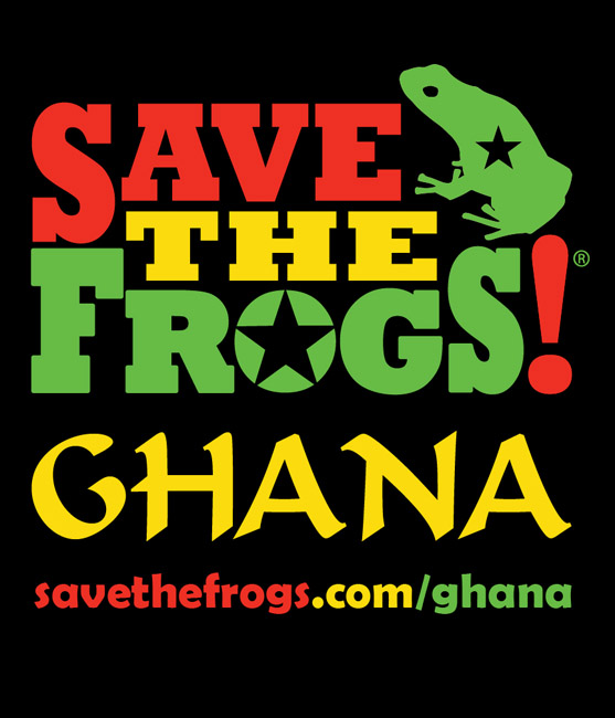 Ghana frog star shirt front 1