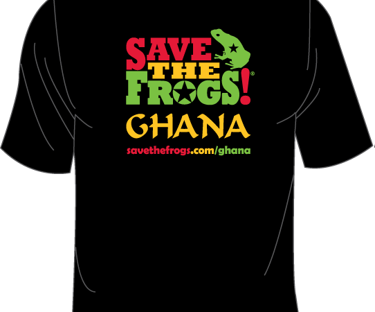 Mockup frontale della maglietta con stella rana del Ghana 1