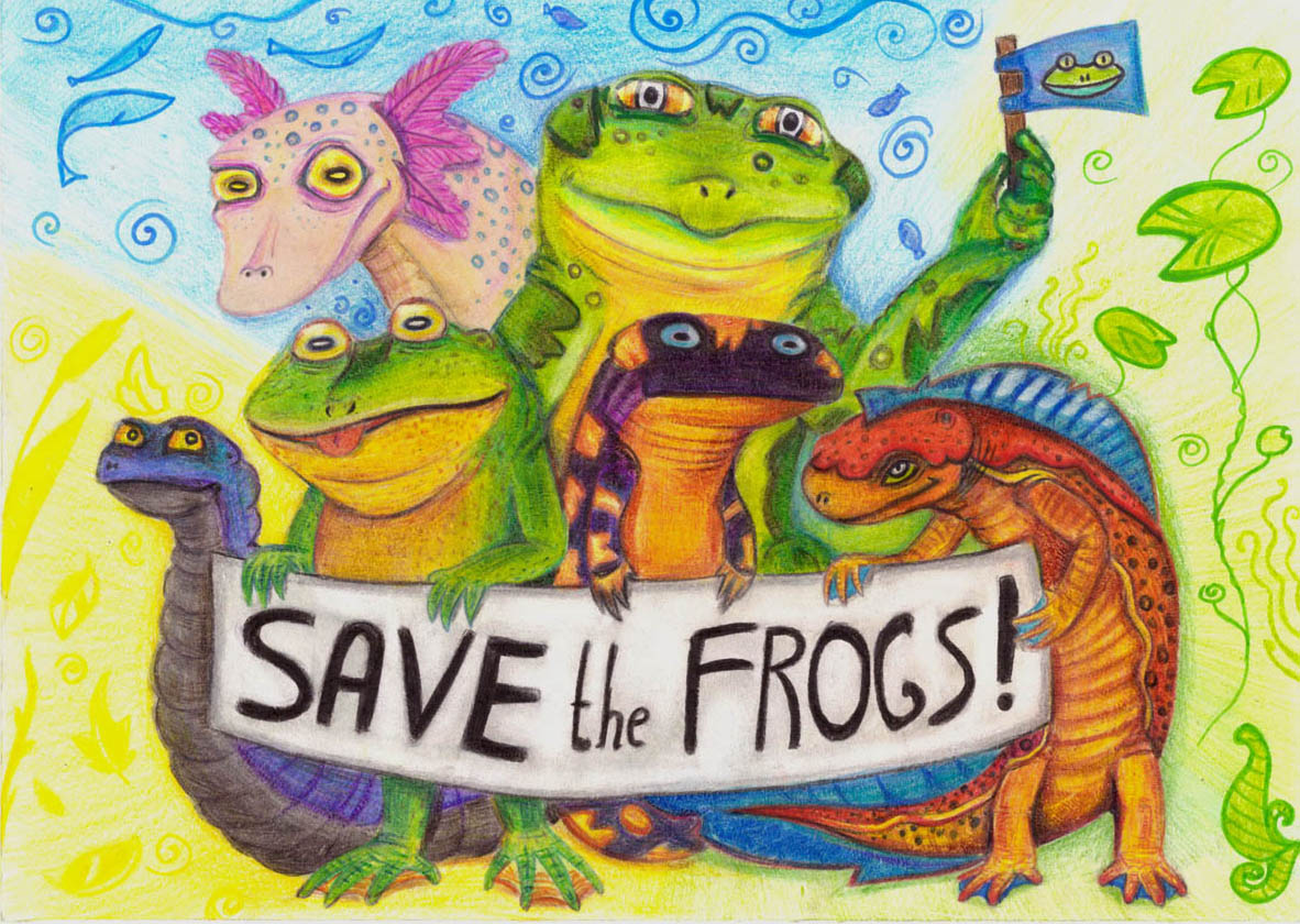 Gleb Shulga Ukraine 2020 save the frogs art contest a
