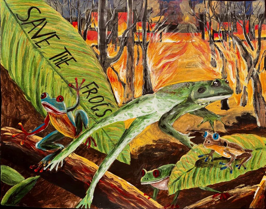 HARRY ZHOU USA 2023 save the frogs art contest 1