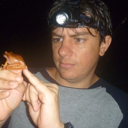 Hector Zumbado Ulate Frogs