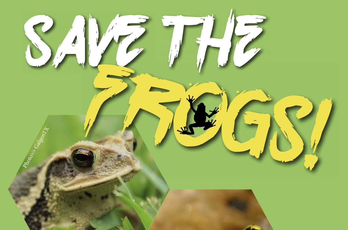 Herpetoculture Magazine July 2021 Save The Frogs