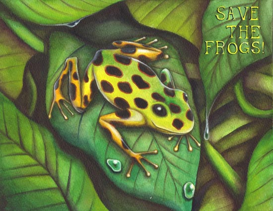 membership save the frogs frog art china