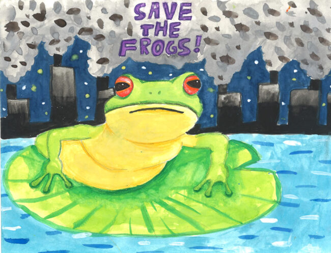 Award winning frog art from the 2022 SAVE THE FROGS! Art Contest by Hoi Ching Kwong, Hong Kong