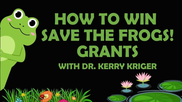 How To Win SAVE THE FROGS! Grants YouTube Thumbnail