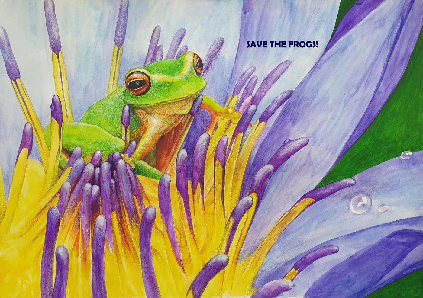 Hyunseo-Lee-Coreia do Sul-2021-save-the-frogs-art-contest Vencedor do 2º lugar