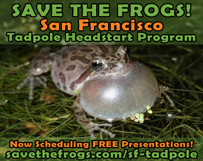 Does your class want a free presentation about frogs?
