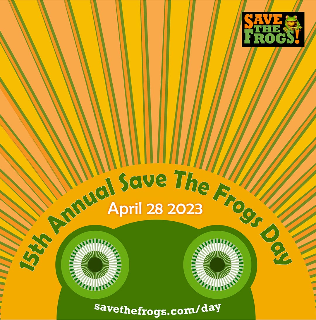 Save The Frogs Day 2023 Sunshine Icon