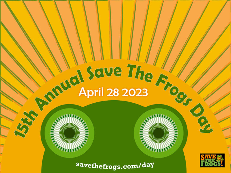 Save The Frogs Day 2023 in West Virginia