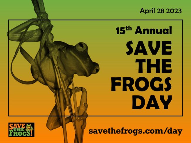 save the frogs day