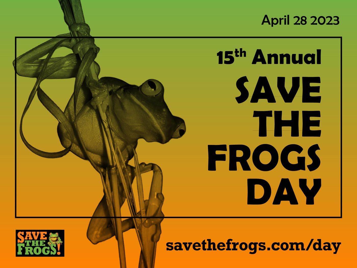 Icon - Save The Frogs Day 2023 - Jen Grottle 1